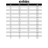 CHAUSSURES HOMME KINGPIN GRIS, ETNIES - DM2 SHOP