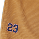 SHORT BASEBALL H - STAR EASY HUF, 2 couleurs - DM2 SHOP