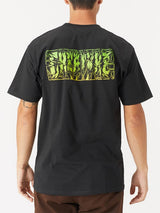 CREATURE - DM2 SHOP