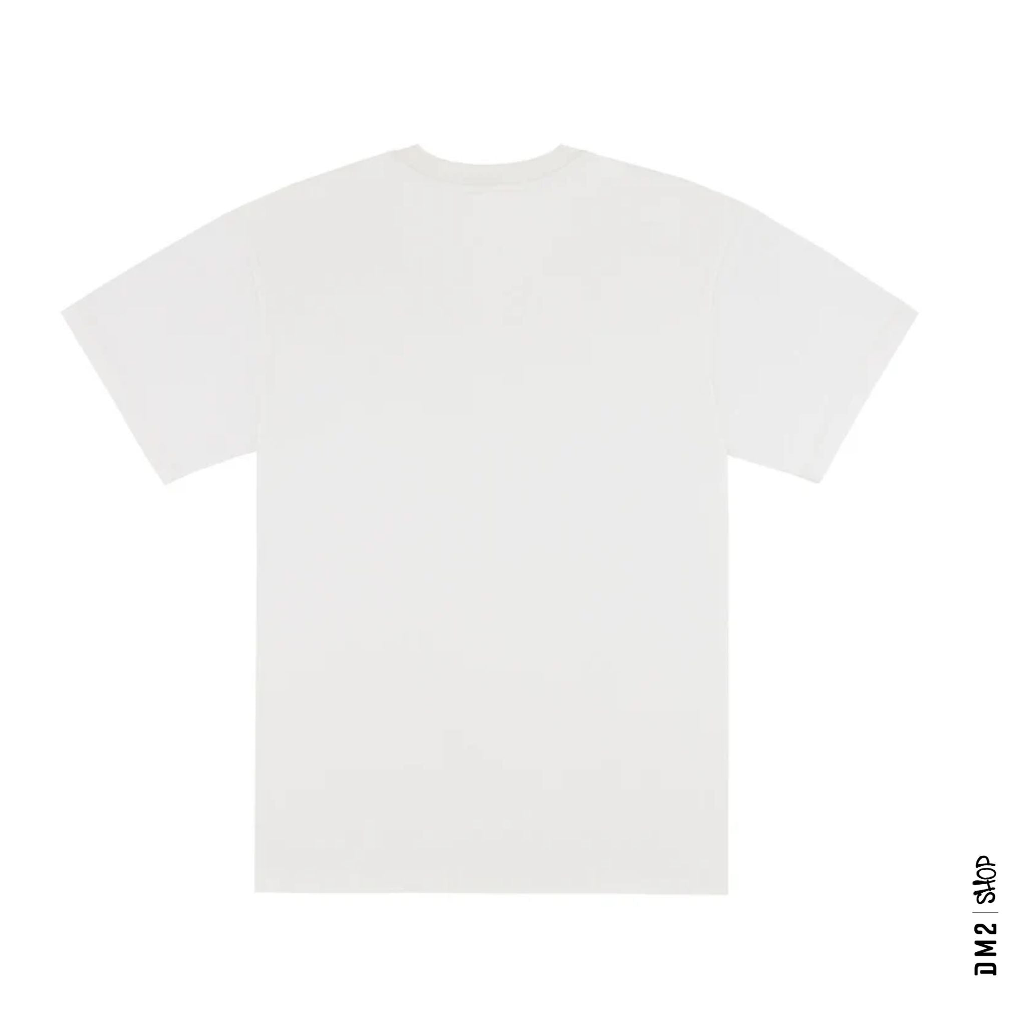T - SHIRT CHAIN TO BANK CLASSIC STAPLE, 2 couleurs - DM2 SHOP