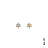 boucles-doreilles-fleurs-dopales-et-zircons-LOST-AND-FAUNE-DM2-H25