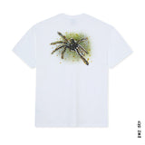 T - SHIRT POLAR SKATE GREEN SPIDER - DM2 SHOP