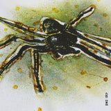 T - SHIRT POLAR SKATE GREEN SPIDER - DM2 SHOP