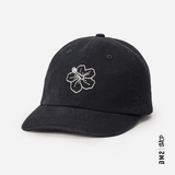 CASQUETTE FEMME MIXED 6 PANEL NOIR, RIP CURL - DM2 SHOP