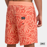 billabong-boardshort-homme-good-times-cantaloupe-DM2-P6