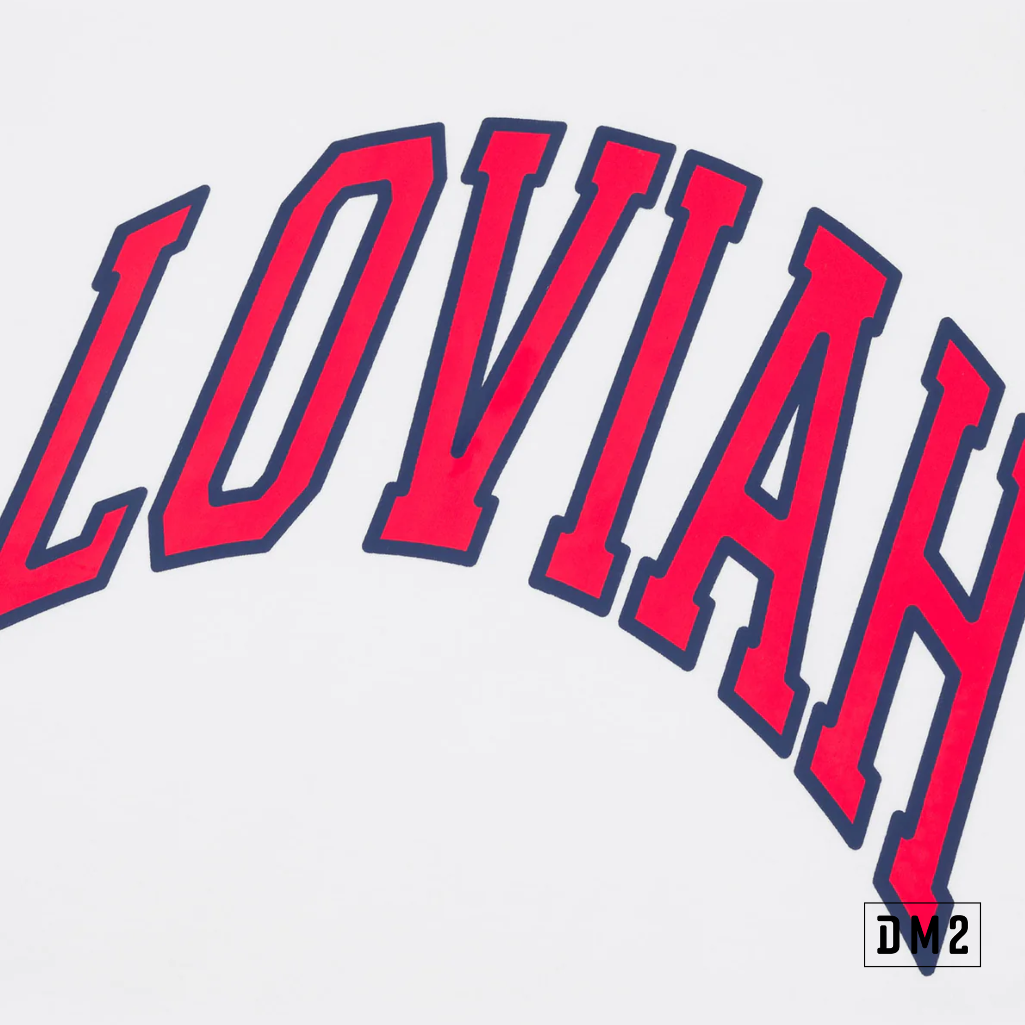 loviah-t-shirt-homme-team-blanc-DM2-S6