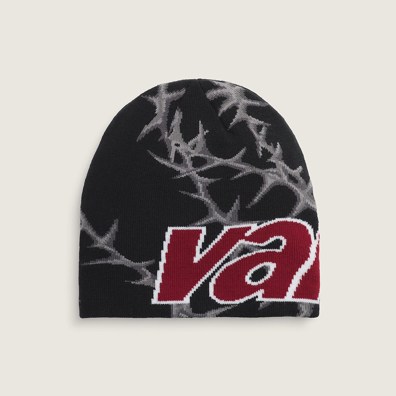 vans-skull-beanie-tuque-dm2