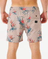 VOLLEY SHORT PARADISO HOMME RIP CURL - DM2 SHOP