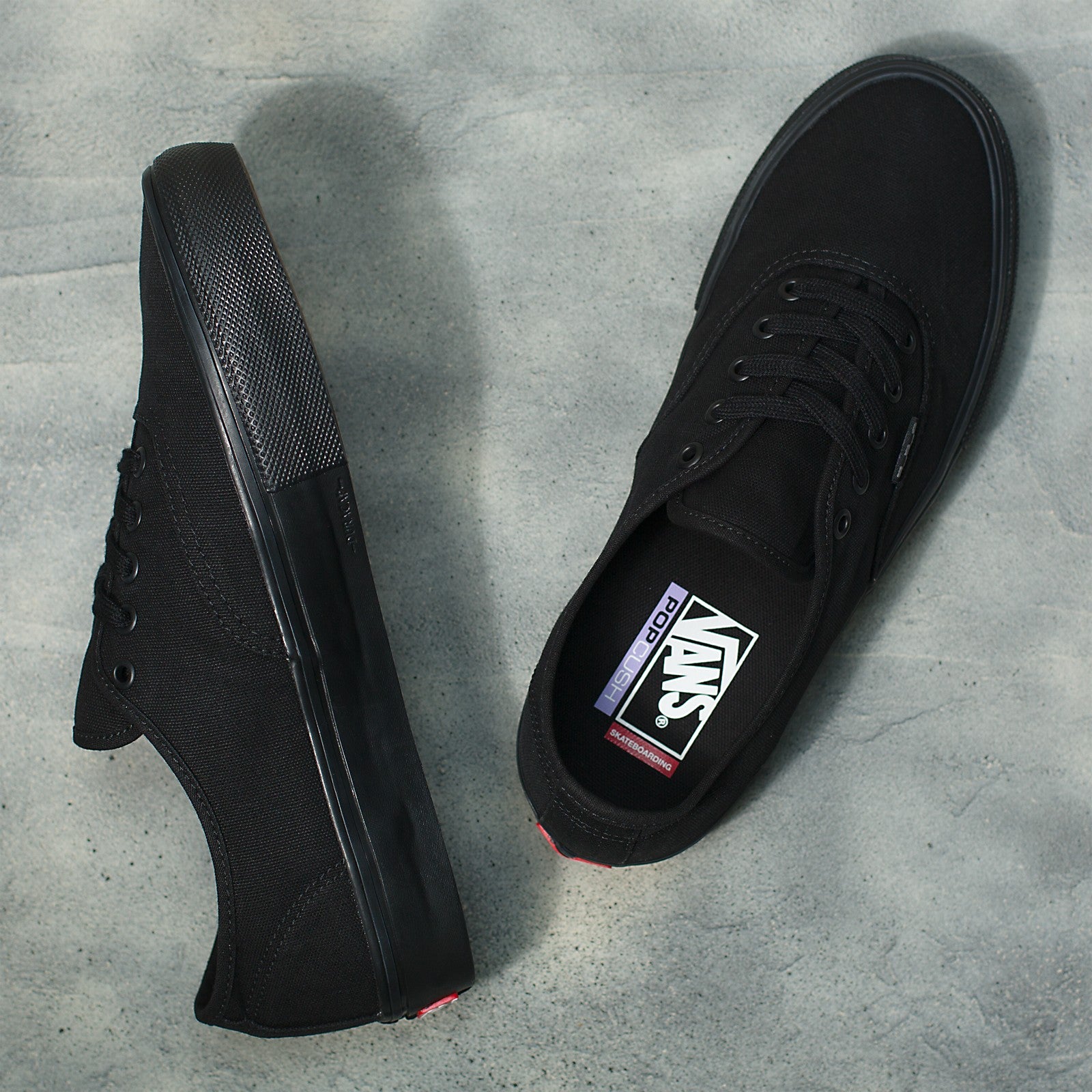 VANS CHAUSSURES AUTHENTIC SKATE ALL BLACK - DM2 SHOP