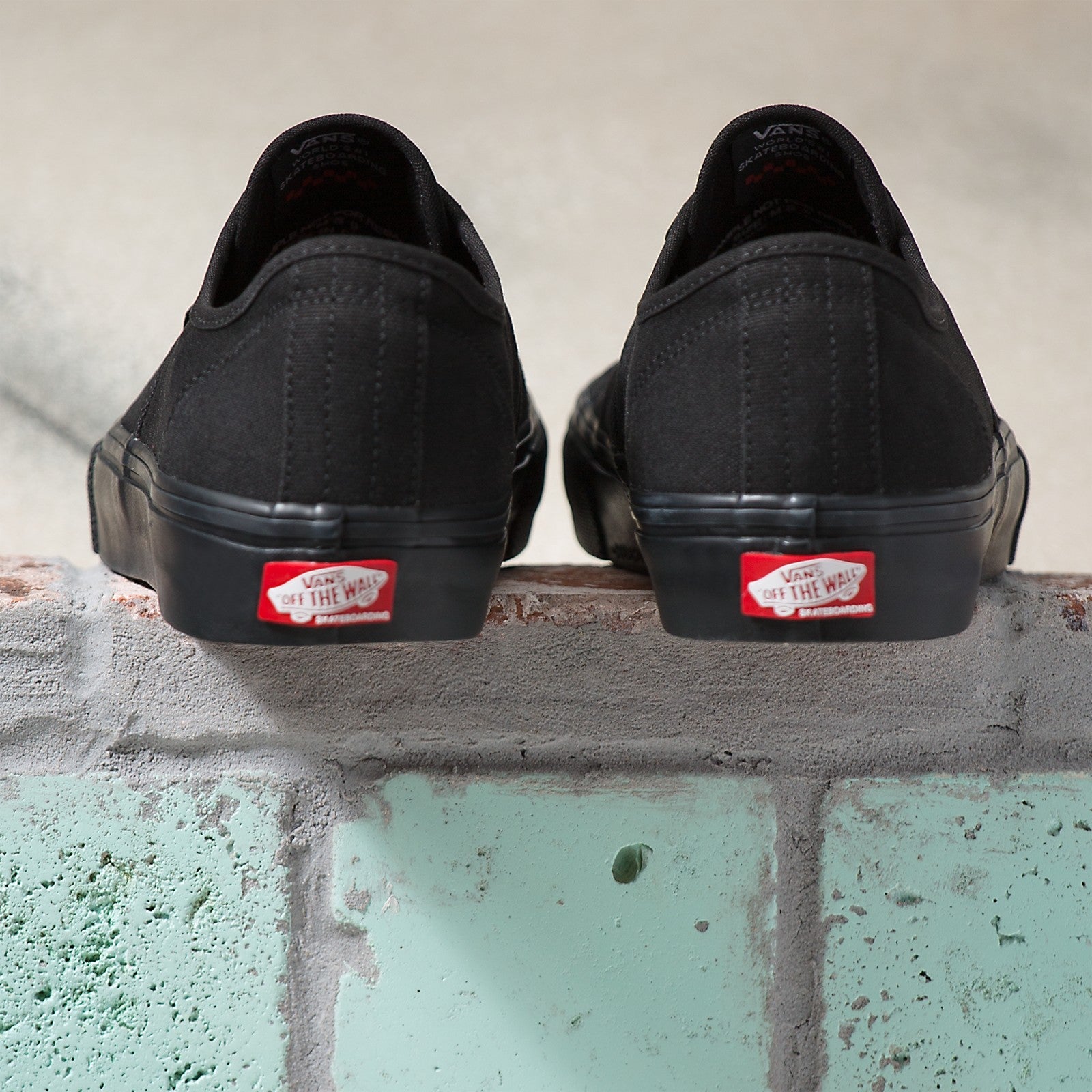 VANS CHAUSSURES AUTHENTIC SKATE ALL BLACK - DM2 SHOP
